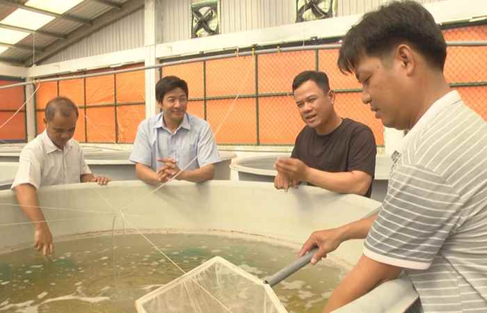  Kỹ thuật chọn và thả giống trong phát triển mô hình nuôi cua biển (27-04-2021)